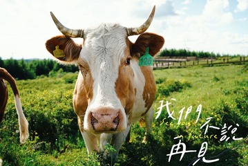 C6A4A927-5CED-4725-AB28-63A986FE7614/L0/001