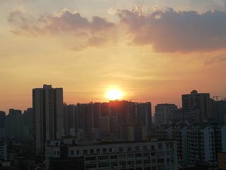 654773