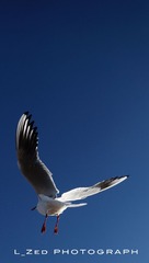 DSC01564.jpg