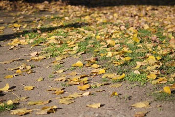 DSC_0083.JPG