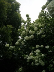 8C0FA571-5440-465A-B90B-B056914F783C/L0/001