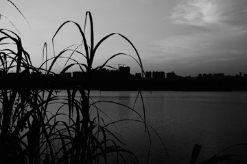 33850D52-D500-46B3-BEAD-E3E729C983E9/L0/001