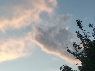 745542