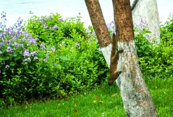 20170403-SAM_0415