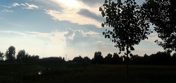 6220470