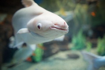 06.jpg