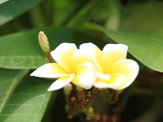 B02F35E4-A862-4027-924B-C8243E1D11E6/L0/001