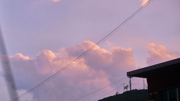 1000037853
