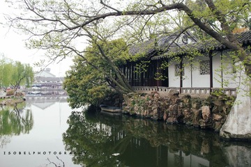 IMGP5357_