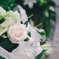 IMGP7650_