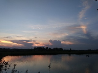 1000016895
