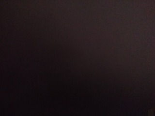 2338324