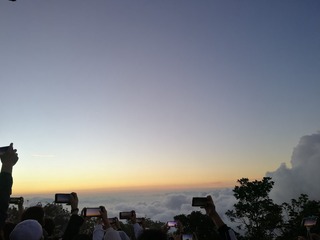 3132361