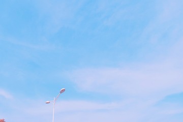 69C61AF9-B65D-40A3-8DB0-534657C37556/L0/001