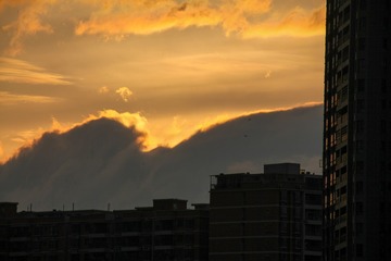 1157212