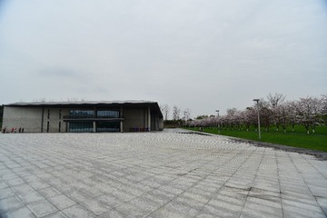 923545