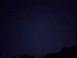 14041