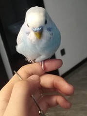 72554