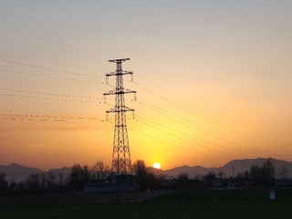 1000054808