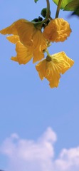 74CE1975-9B01-4BB6-A42F-7354AAF757B6/L0/001
