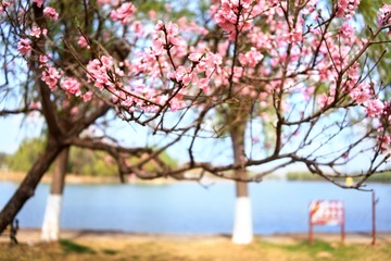 867645BD-07F0-4049-B855-06C21799F34B/L0/001