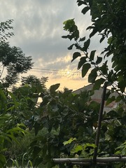 47DB6F4B-C5EE-4CC1-89CC-FED169385FE8/L0/001