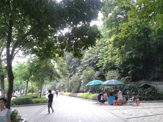 2012-08-05 09.26.43.jpg