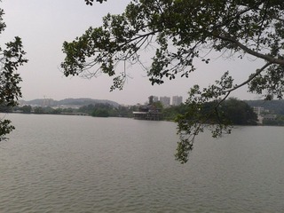 2012-08-05 09.44.23.jpg