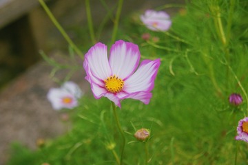 404F0DD3-270A-49A8-B673-5BCAC807ED37/L0/001