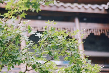 C854B5A3-07A1-497E-960E-78746C32C1D2/L0/001