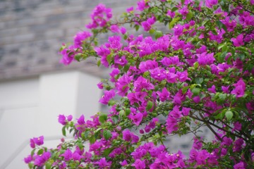 8D38374F-B3DE-4E08-8798-1876C32EE8C7/L0/001