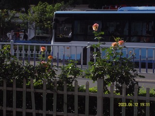 A867F172-B68A-4DAF-8544-ECAF7FFACD92/L0/001