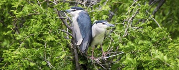 DSC_4840.jpg