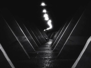 1000027774