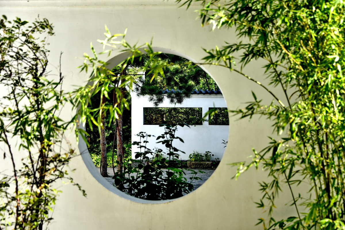 这是在有着徽派建筑特色的的绿树成荫花卉满园,景色幽静的哈尔滨西郊