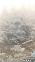 1000029800