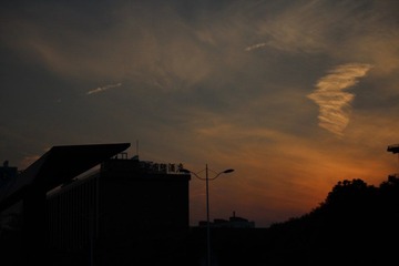 IMG_0959.JPG