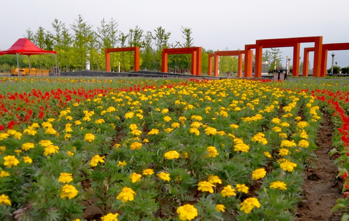 手机拍摄开原滨水新城景观带