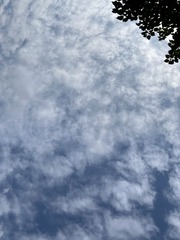 A0AD58C9-62FA-4F3C-B6B5-4026533CCCB2/L0/001