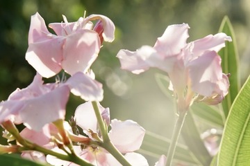 648CD41D-758C-48AB-9C9F-0B5A9BE6C20E/L0/001