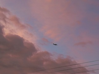99046