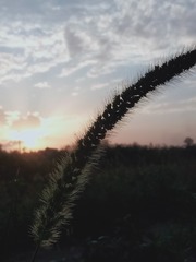 1000004402
