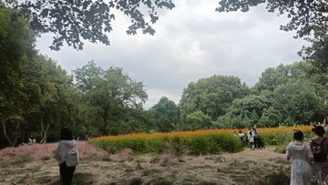 1000032260