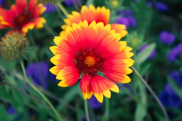 F6F01F0B-8CCE-4041-BF70-0318DB186450/L0/001