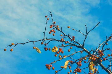 AAA26CCC-4904-4BC0-A5DA-C9CD5F2AE52F/L0/001