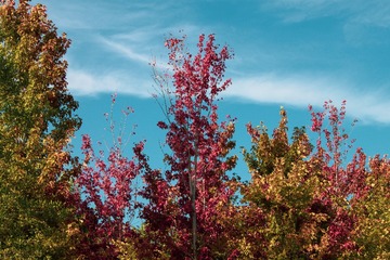 FD0618D1-7A68-40BC-BA46-F5FC2C0898C6/L0/001