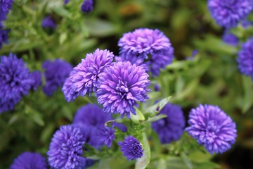 1D58123F-1310-466D-9B8D-17F26F9ABC0E/L0/001