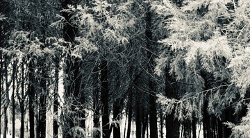 34B3138D-E275-4AF5-BD2F-3C10EA2B8DA1/L0/001