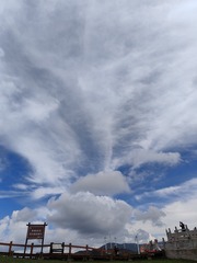 1000016605