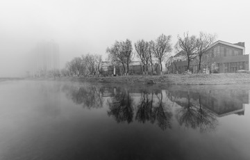 1900102